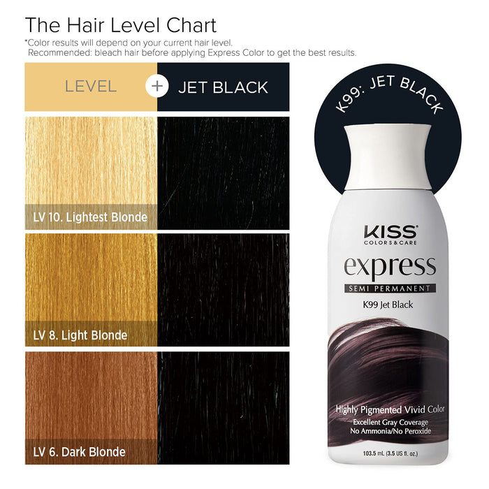 Kiss Express Semi-Permanent Hair Color 3.5oz